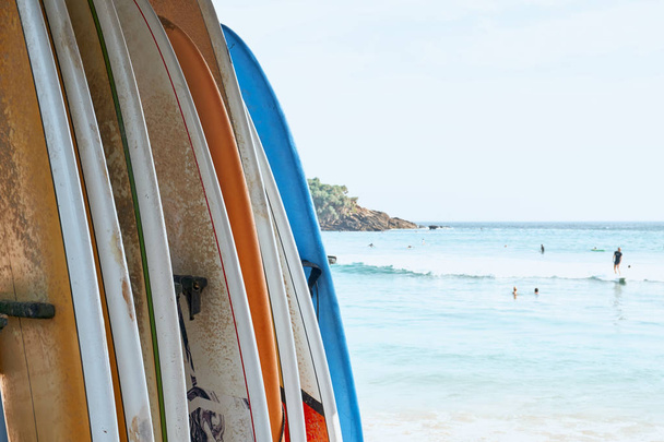 Various Surf Board on Sand Beach Ocean Background - 写真・画像