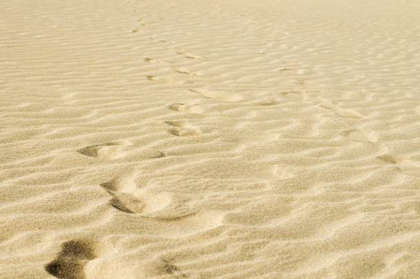 Sand texture and footprints. summer rest. Backgrounds Textures. - Фото, зображення