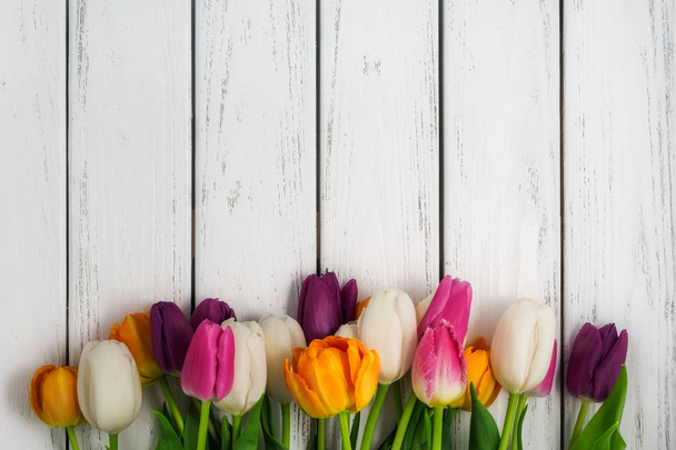 Beautiful multicolored tulips on white wooden background. Top view, copy space. Space for text. Postcard template. Spring flowers concept. Happy Mother's, Valentine's, International Women's day. - Фото, зображення