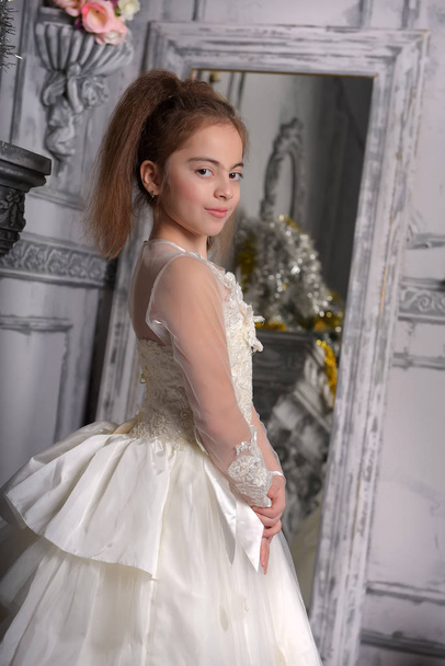 Portrait of little girl in luxurious dress. Fashion photo - 写真・画像