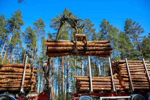 Grue dans la forêt chargeant des billes dans le camion. Récolte et transport du bois en forêt. Transport de l'industrie forestière et de l'industrie forestière - Photo, image