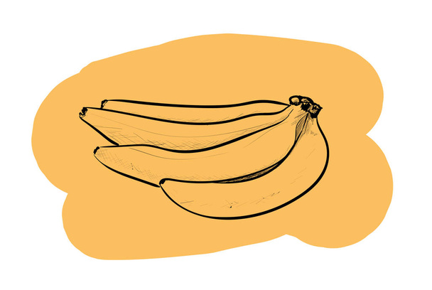 egy nagyon finom banán  - Vektor, kép