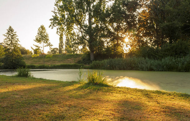 Un hermoso amanecer con reflejo en el agua de un lago forestal en el parque de la ciudad de Vlaardingen (Rotterdam, Países Bajos, Holanda
) - Foto, imagen