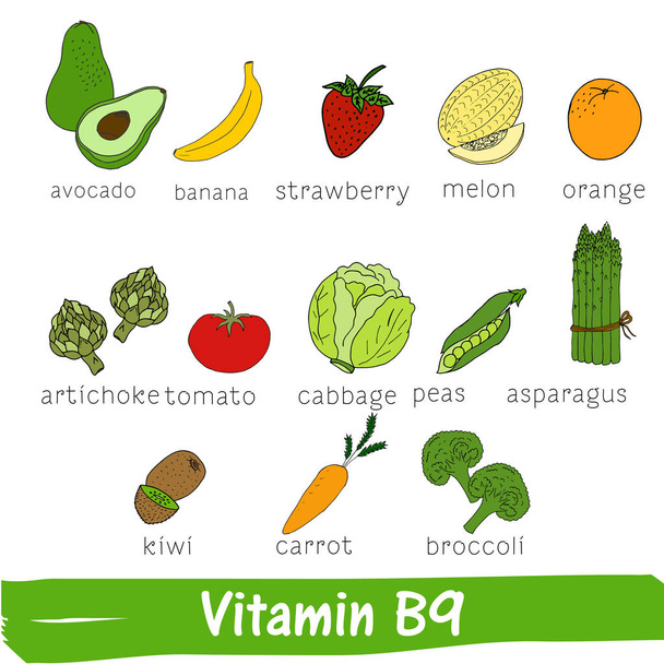 Vegetables and fruits with a high content of vitamin B9. Hand drawn vector vitamin set - Διάνυσμα, εικόνα