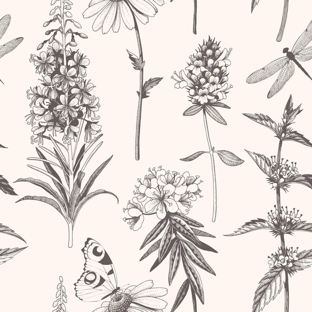 Vector hand drawn meadow flowers seamless pattern - Διάνυσμα, εικόνα