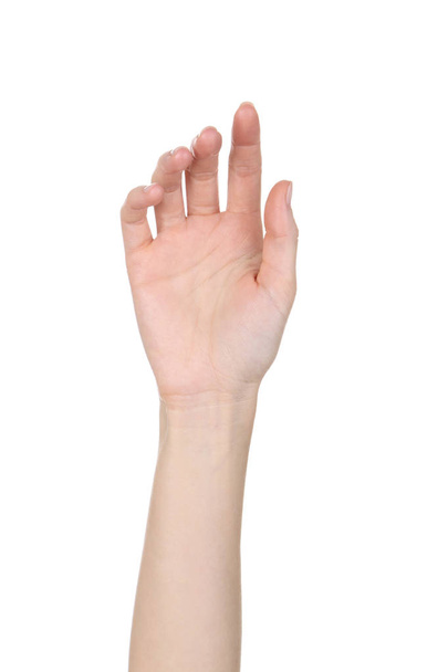 Female hand isolated on white background - Photo, image