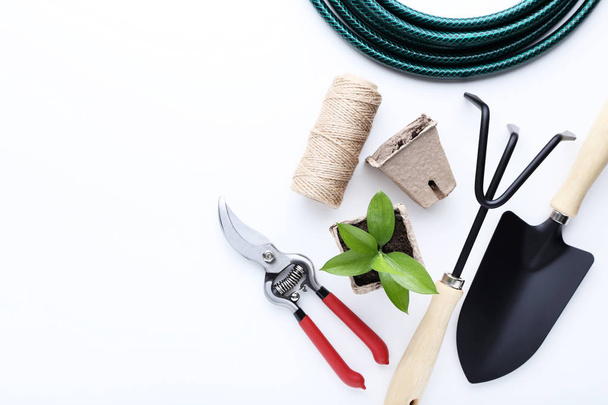 Garden tools and green plant in pot on white background - Foto, afbeelding
