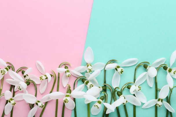 Snowdrop flowers on colorful background - Fotografie, Obrázek