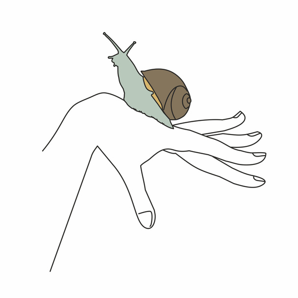 slak op hand - Vector, afbeelding