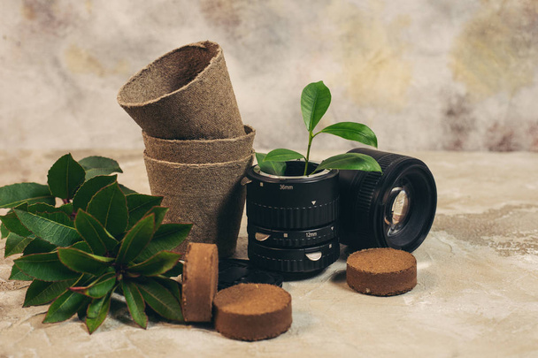 Growing green plants in used old photo camera lens and reuse recycle eco concept - Foto, Imagen