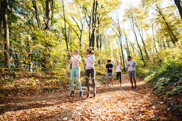 Маленька група щасливих друзів біжить в лісі восени
. - Фото, зображення