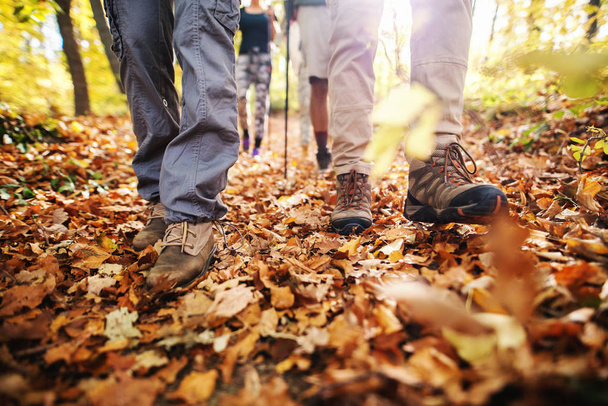 Close up of hikers' legs walking through woods. Autumn time. - Photo, Image