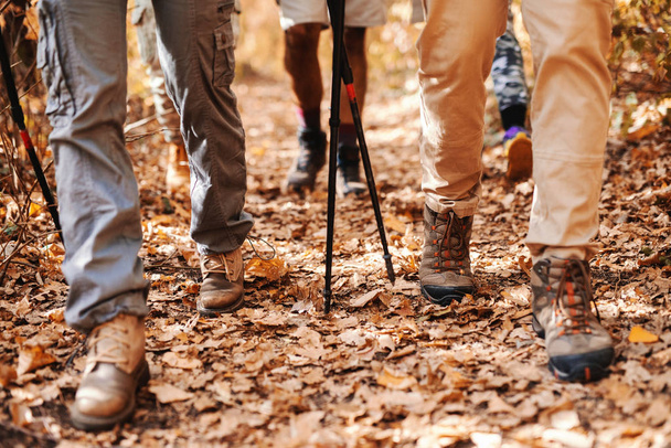 Gros plan des jambes des randonneurs marchant dans les bois. Heure d'automne
. - Photo, image