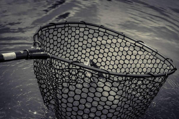 форель риболовля на озері
 - Фото, зображення