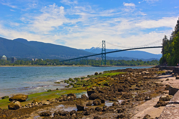 Stanley Park panorama with a view on Lions Gates Bridge and mountains with snow peaks on horizon in Vancouver BC, Canada. Beautiful summer day for a stroll on park trails. - Φωτογραφία, εικόνα