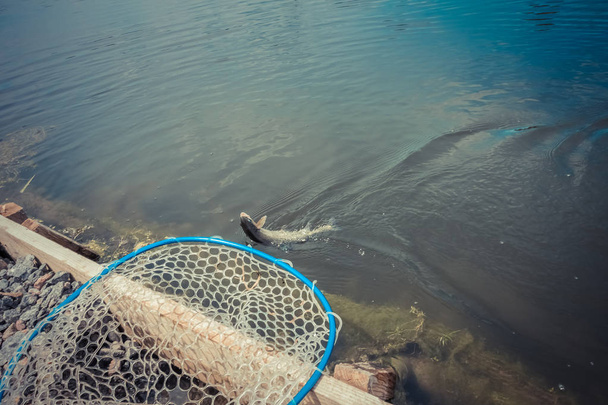 Pesca de truchas en el lago
 - Foto, Imagen