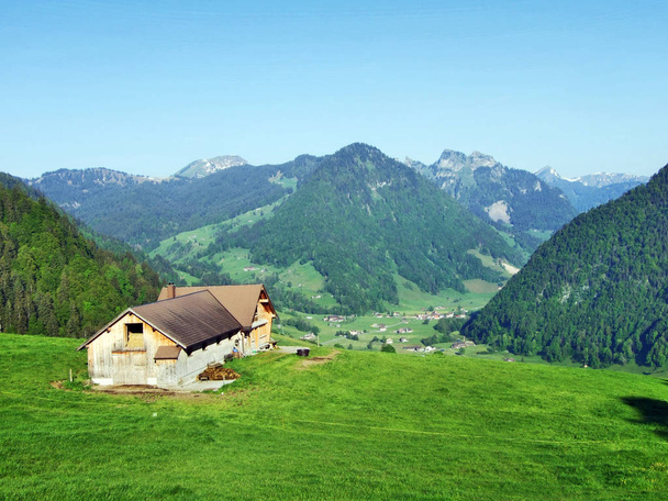Альпійські тваринницькі ферми і стайні на схилах гірського хребта - кантону Санкт-Галлен, Churfirsten Швейцарії - Фото, зображення