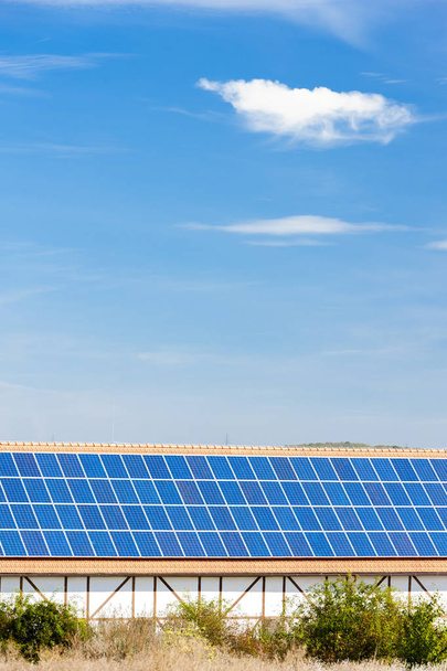 solar panels and blue sky - Фото, зображення
