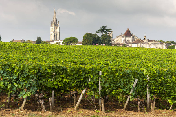 szőlőültetvények közelében Saint-Emilion, Bordeaux, Francie - Fotó, kép