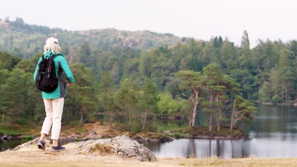 Senior Caucasian woman walking into the left of shot to admiring the lakeside view, back view, Lake District, UK - Felvétel, videó