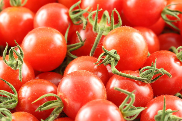verse wilde bessen tomaten in close-up zicht - Foto, afbeelding