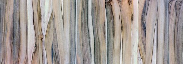 Een fragment van een houten paneel hardhout. Walnut. - Foto, afbeelding
