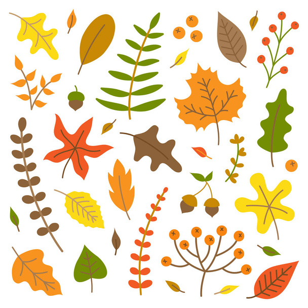 Colorido otoño hojas vector ilustración conjunto. Naturaleza otoñal, colección de hojas y plantas, aisladas
. - Vector, Imagen