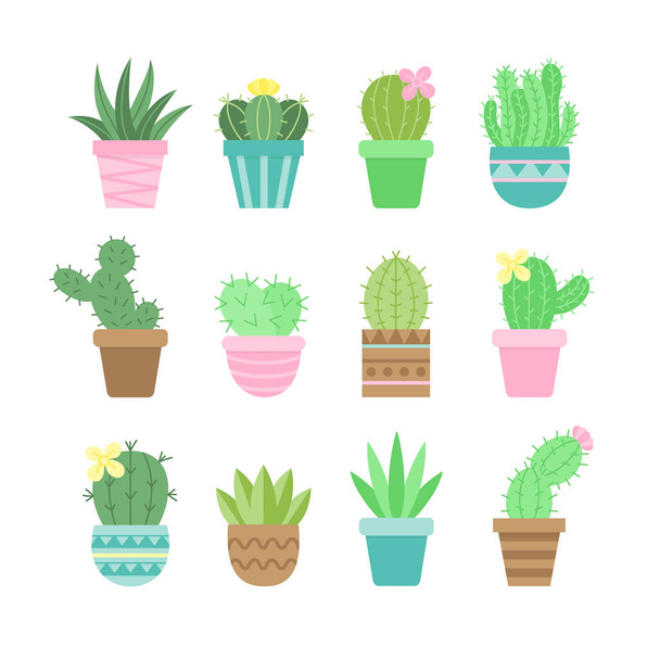 Set di cactus carino, diversi tipi di cactus in vasi di piante modellati, illustrazioni vettoriali, raccolta di icone succulente isolata
. - Vettoriali, immagini