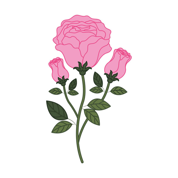 beautiful roses with leafs isolated icon - Vektor, obrázek