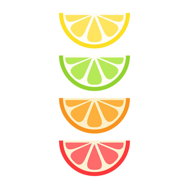 Set of citrus fruit slices; lemon, lime, orange and grapefruit. Vector graphic summer fruit icons. - Vector, Imagen