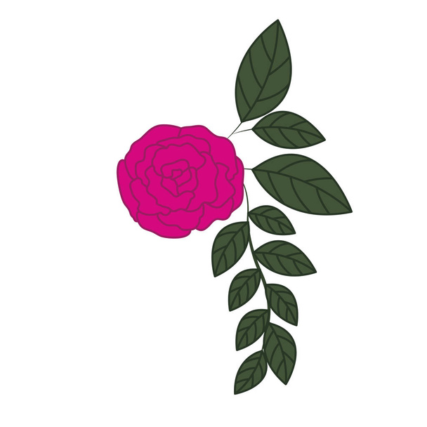 bela rosa com folhas ícone isolado
 - Vetor, Imagem