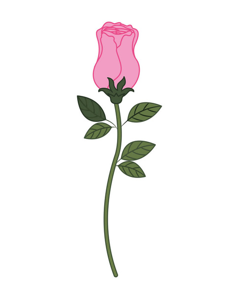 beautiful rose with leafs isolated icon - Vetor, Imagem