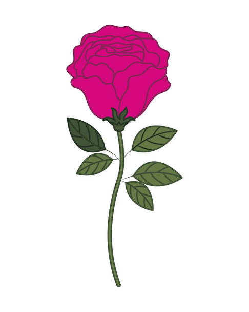 mooi rose met blaadjes geïsoleerde pictogram - Vector, afbeelding