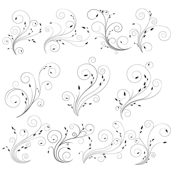 Dunne gekrulde bloemen lijnen met fijne blad. Swirl zwarte bloemen vector collectie. Elegante spiraal concept. - Vector, afbeelding