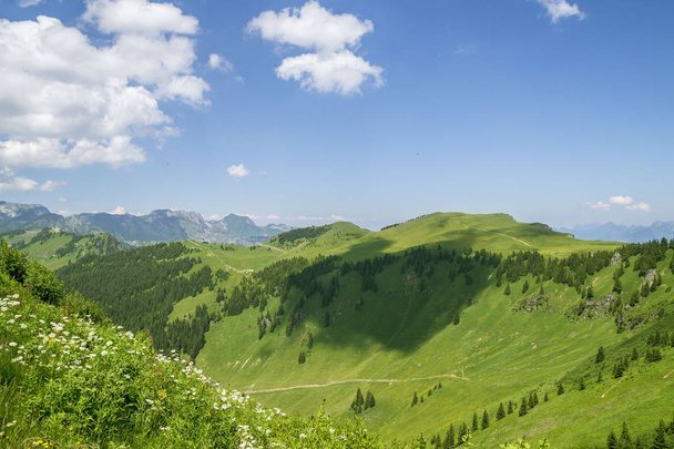 Summer landscape in the Alps Mountains ,Portes du Soleil, France and Switzerland together - Фото, изображение