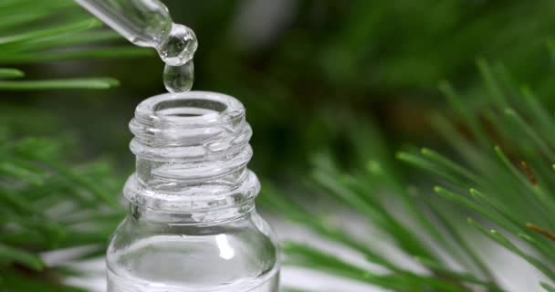 aromathérapie - huile essentielle coulant de la pipette dans une petite bouteille
 - Séquence, vidéo