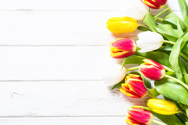 Tulipanes rojos amarillos y blancos florecen sobre blanco
. - Foto, imagen