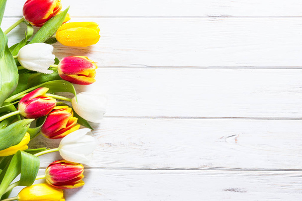 Red yellow and white tulips flower on white. - Foto, Imagen