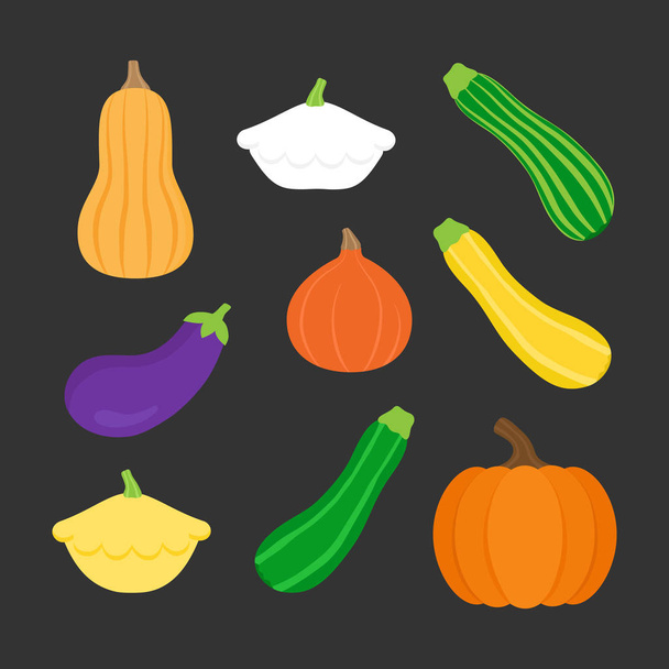 Seasonal squash, gourd vegetable vector illustration set; pumpkin, butternut squash, patty pan squash, green, yellow and striped zucchini, hokkaido pumpkin and eggplant. Isolated on dark background. - Вектор, зображення