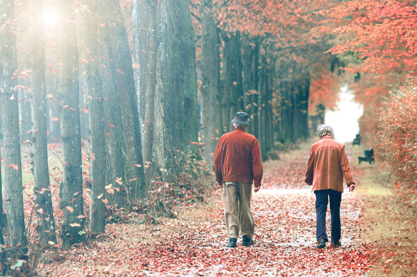Elderly couple walking in park on autumn day - Foto, Imagem