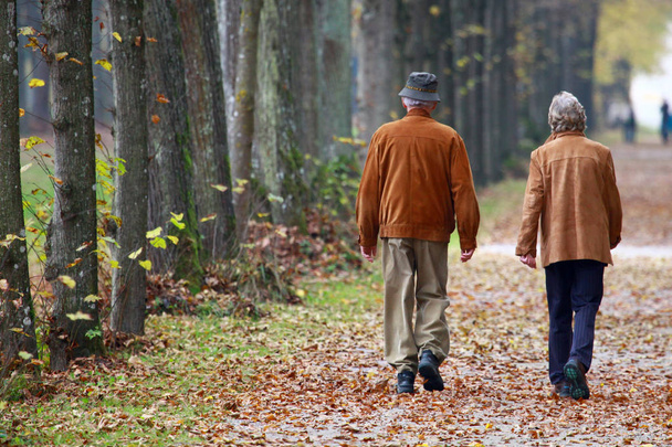 Elderly couple walking in park on autumn day - Fotó, kép