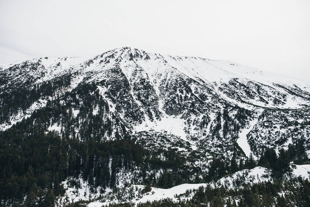 Winter view of mountains, beautiful wonderland mountain scenery  - Photo, image