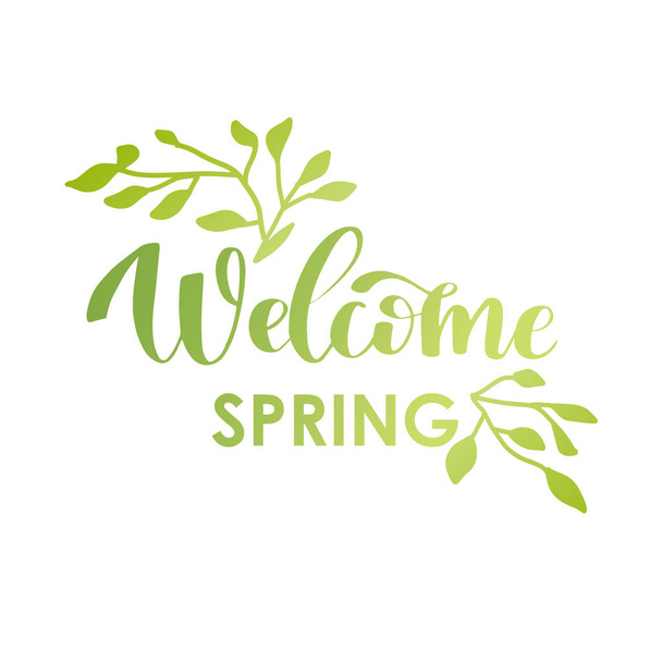 Welcome Spring calligrathy phrase. Simple hand lettered quote. Vector illustration of lettering text with green leaves - Vektor, Bild