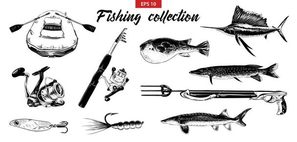Vector engraved style illustration for logo, emblem, label or poster. Hand drawn sketch set of fishing elements isolated on white background. Detailed vintage doodle drawing. - Vector, Image