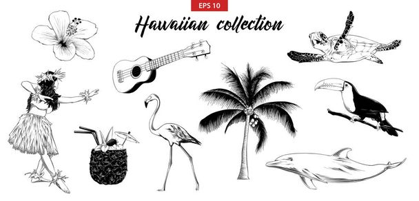 ベクトルには、ロゴ、エンブレム、ラベルやポスターのイラストが刻まれています。ハワイの女の子、ウクレレ ギターなどの手描きスケッチ セットです。白い背景上に分離。詳細なヴィンテージ落書き図面.  - ベクター画像