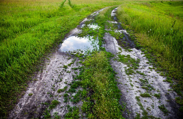 Dirt road with puddles in the green field. - Photo, Image