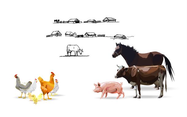Gans, paard, kip, koe, varken, vector - Vector, afbeelding
