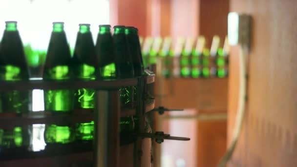 Botellas de cerveza moviéndose en cinta transportadora en fábrica. Línea de fabricación automatizada
 - Imágenes, Vídeo
