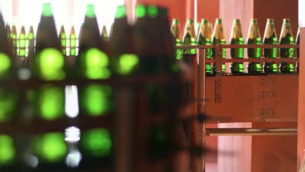 Línea de producción automatizada con botellas de vidrio verde. Línea de embalaje de cerveza en fábrica
 - Imágenes, Vídeo
