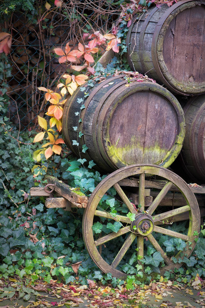 viejo coche de madera con barricas de vino en otoño
 - Foto, imagen